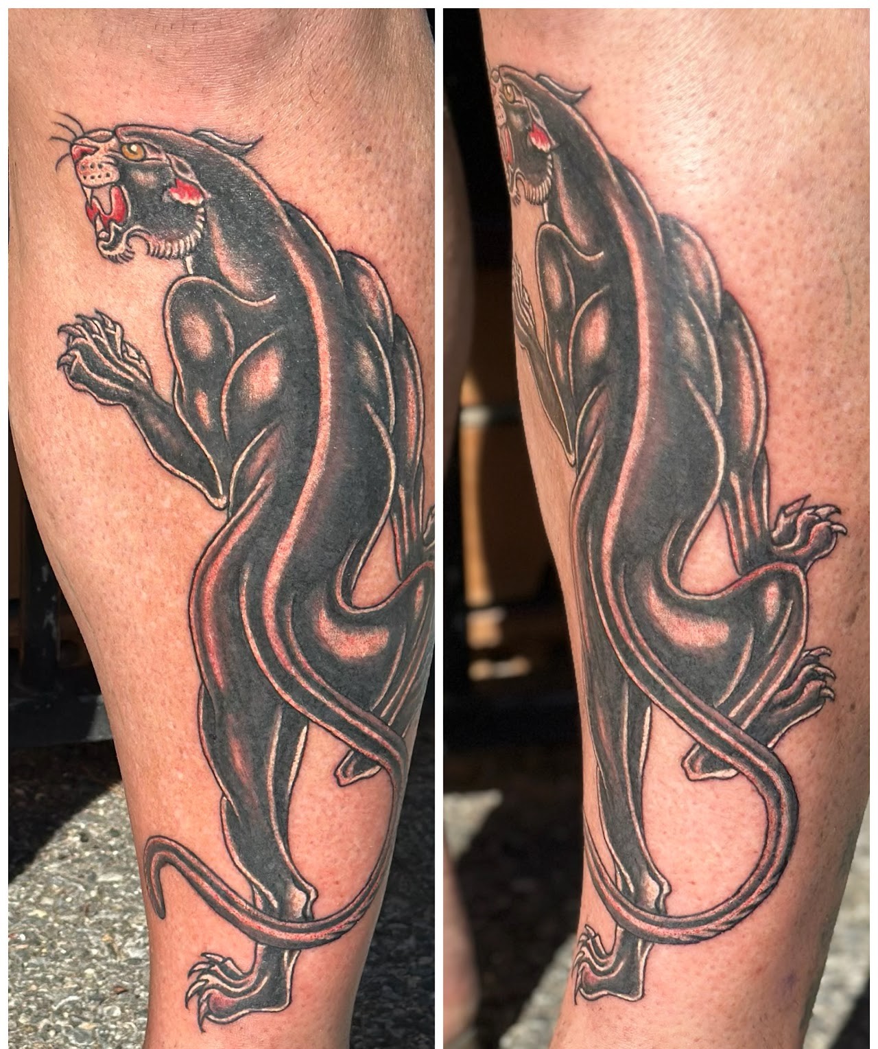 Panther: Traditional style, calf