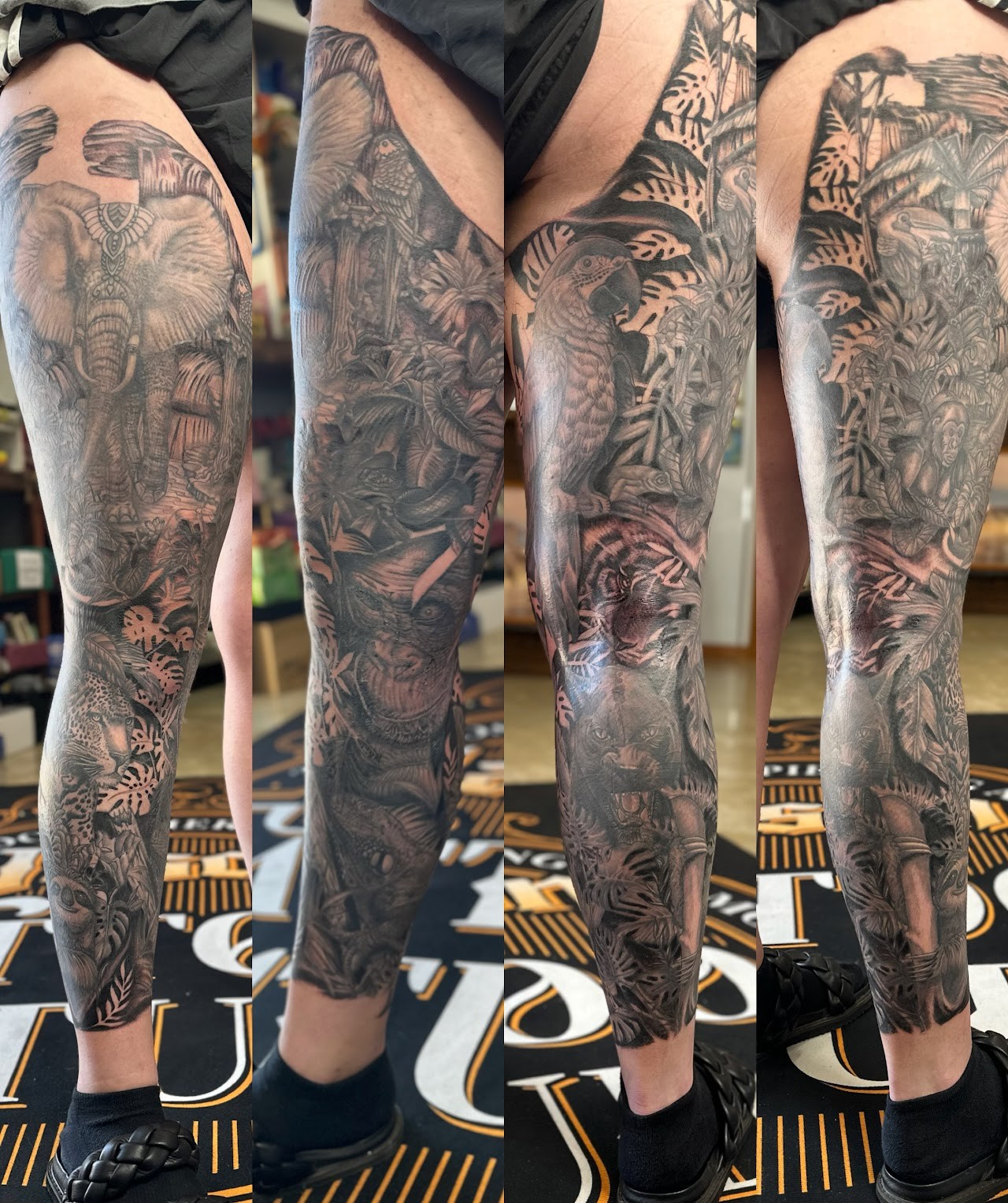The jungle: Full leg sleeves, four angles
