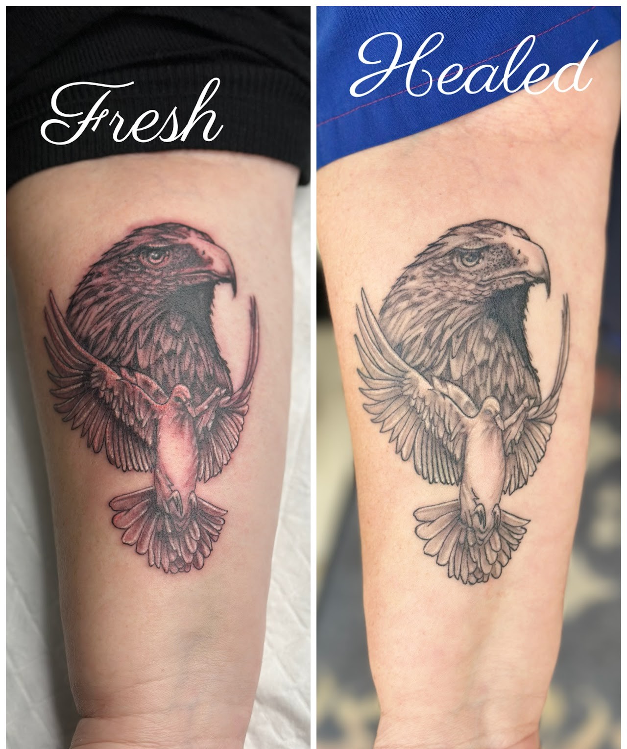 Eagle, fresh and healed: Forearm, shown both ways